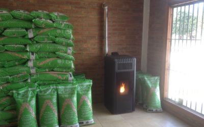 Estufa a pellets en Local comercial Lumtec